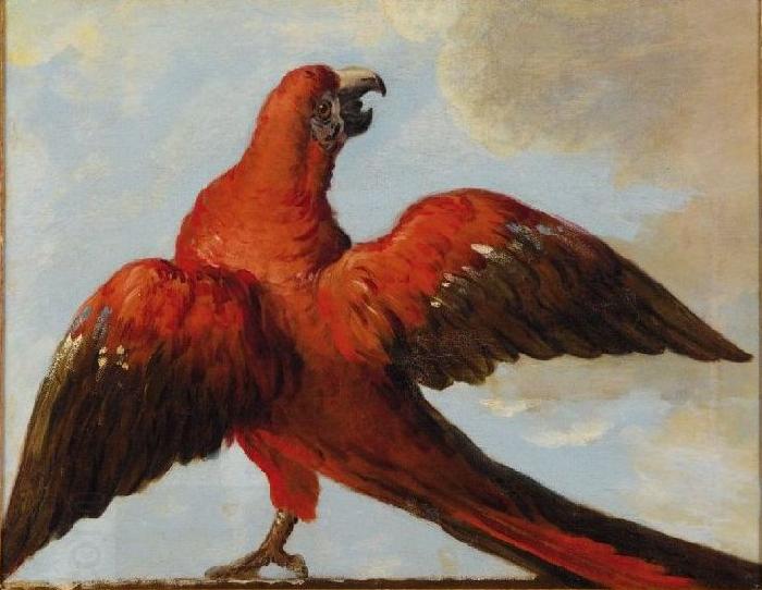 Jean Baptiste Oudry Parrot with Open Wings China oil painting art